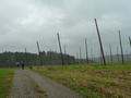 03p1080841.jpg