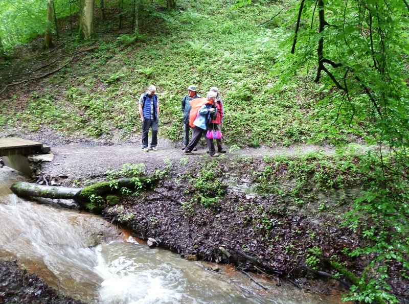p1330018.jpg