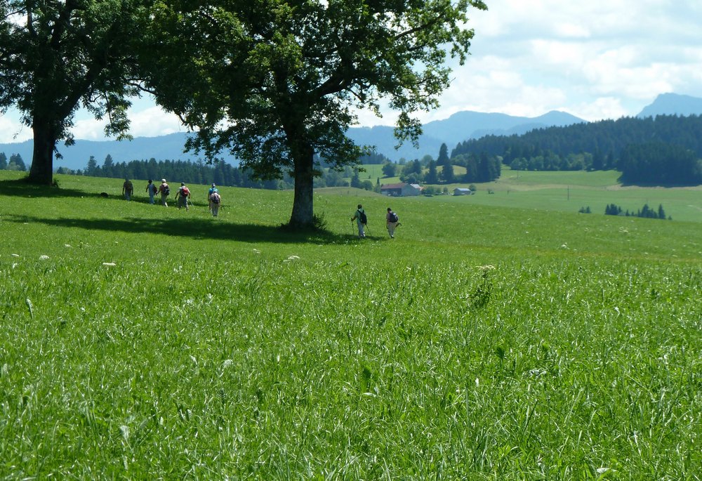 p1330272.jpg