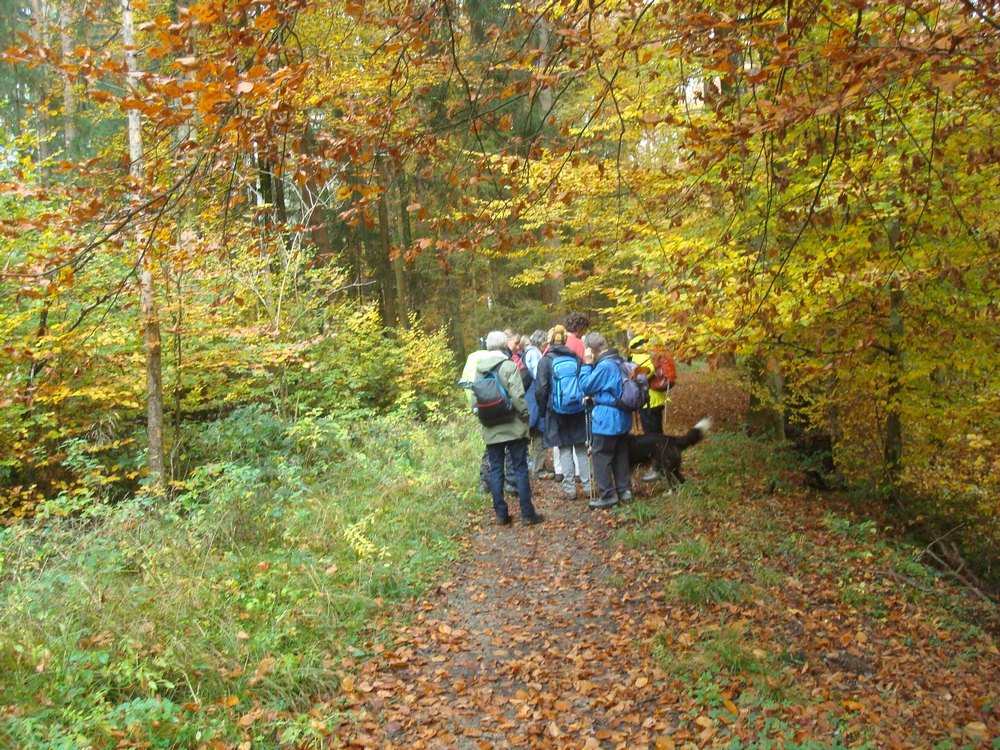 dsc08325.jpg