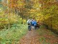dsc08325.jpg