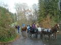 dsc08328.jpg