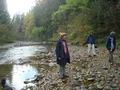 dsc08332.jpg