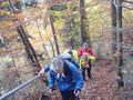 dsc08334.jpg