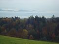 dsc08343.jpg