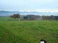 dsc08345.jpg