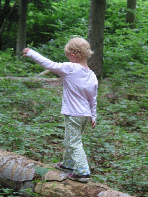 img_8006.jpg