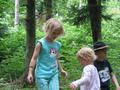 img_8005.jpg