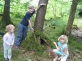 img_8023.jpg