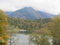 img_3556.jpg