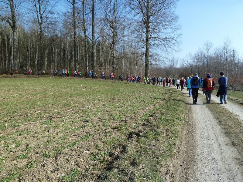 p1310776.jpg