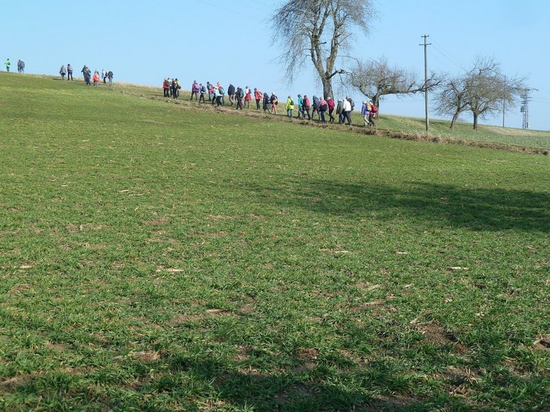 p1310779.jpg