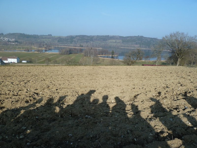 p1310783.jpg