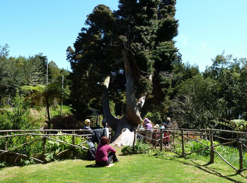 81+p1320693.jpg