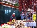 26+img_1481.jpg