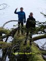 mindelsee23a.jpg