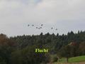 mindelsee6a.jpg