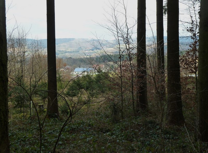 p1310697.jpg