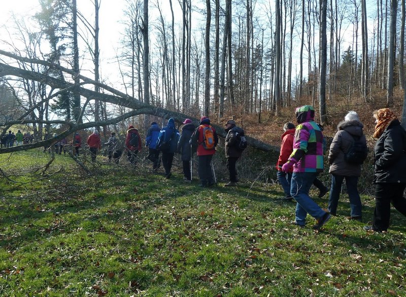 p1310729.jpg