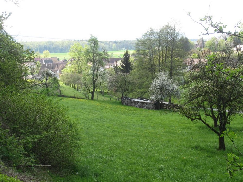 01.jpg