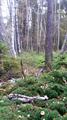 20161023_141023.jpg