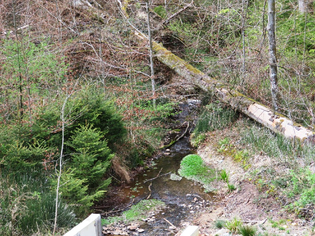 Weiher-Ablauf