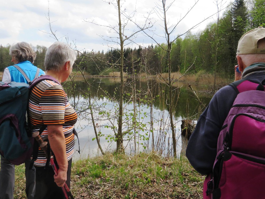 zum nächsten ruhigen Weiher