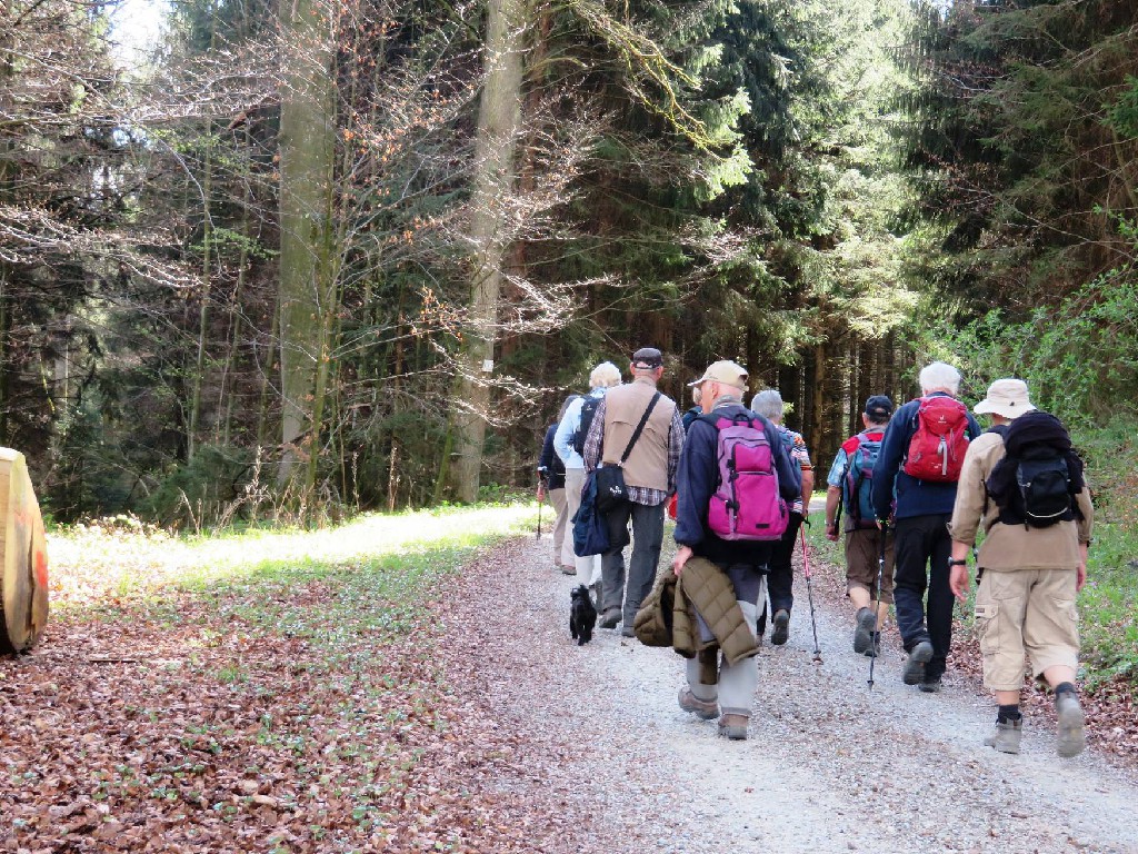 auf dem Rückweg