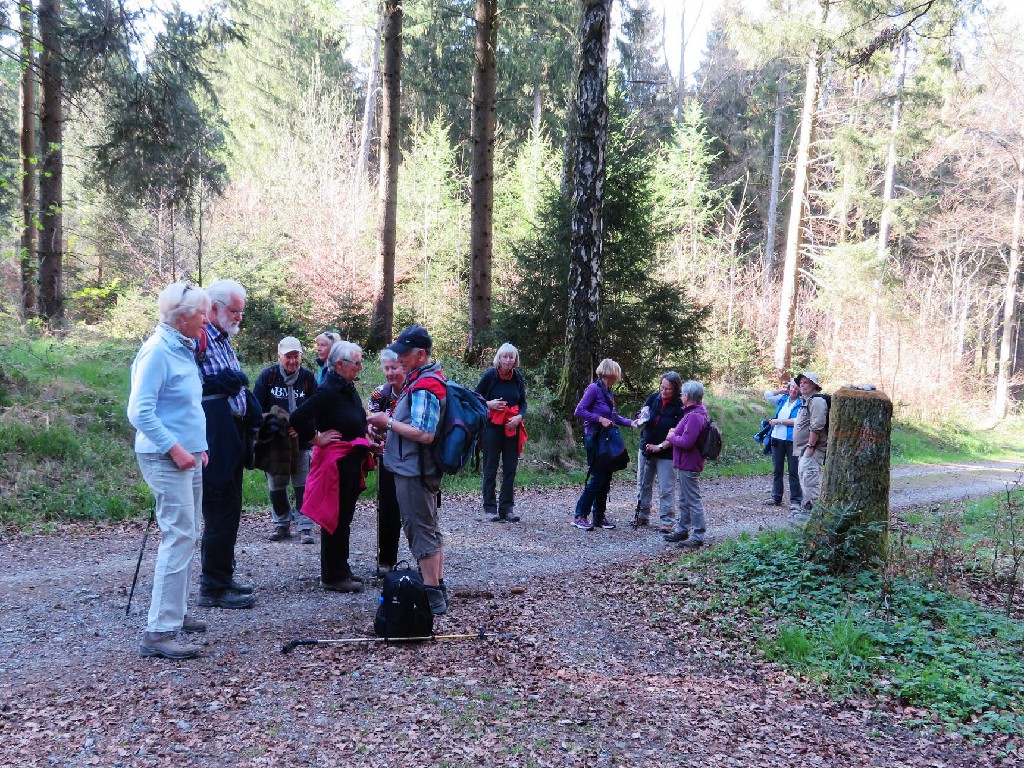 Herzlichen Dank Robert und Heidrun für die schöne Wald- und Weiherwanderung