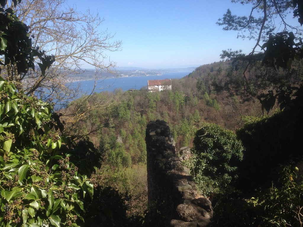 Blick zum Gehrenberg