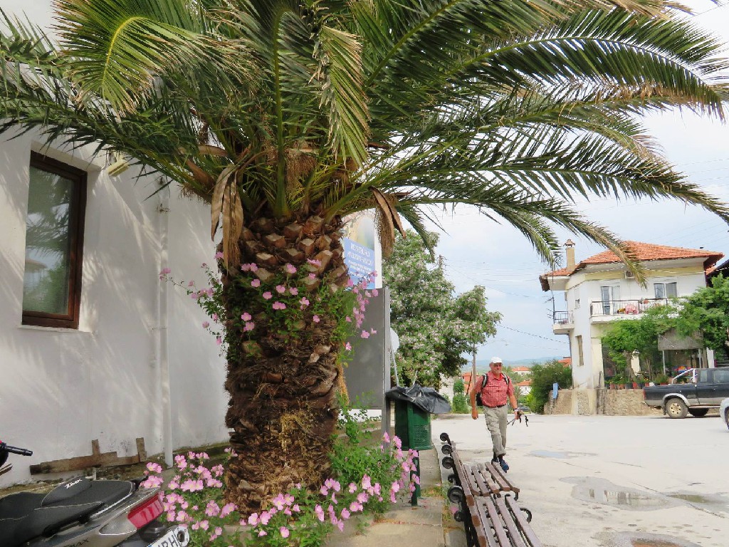 2.Tag Nikiti/Sithonia