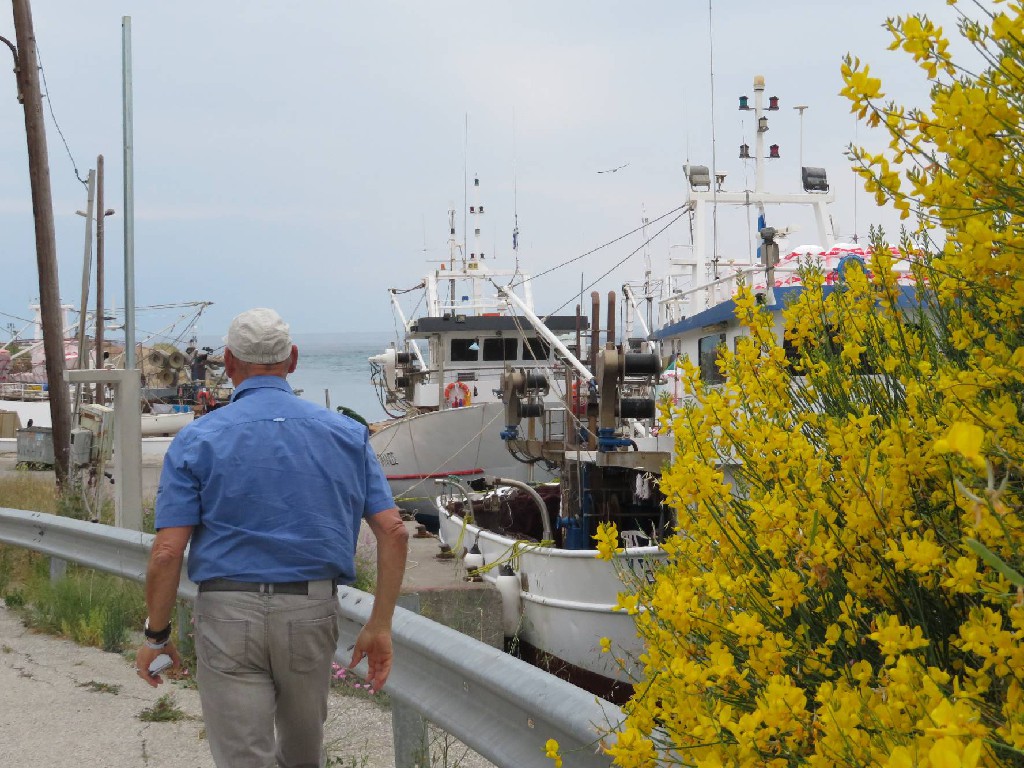 zum neuen Hafen