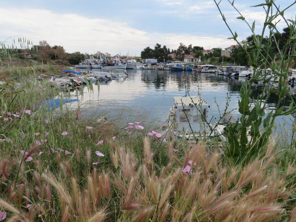 völlige Ruhe