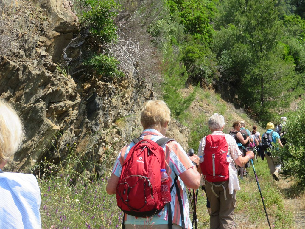 in die Wildnis