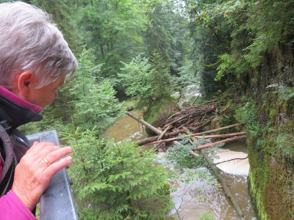 vom Wasser mitgerissenes Holz