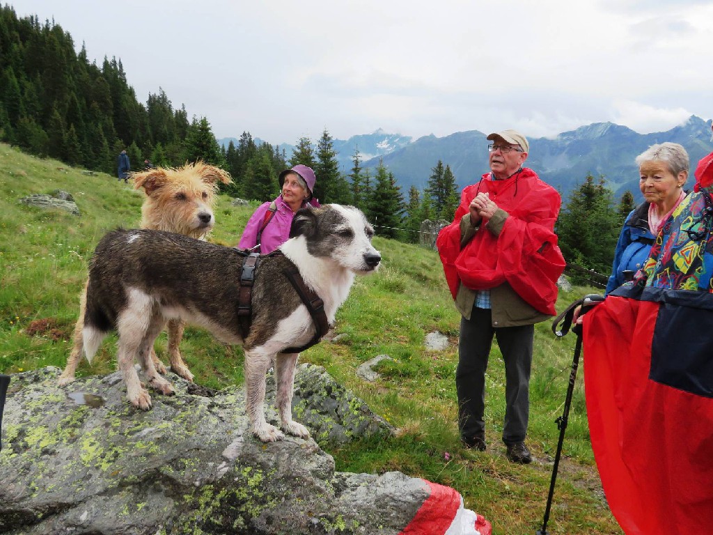 macht Vivi und Romus nichts aus