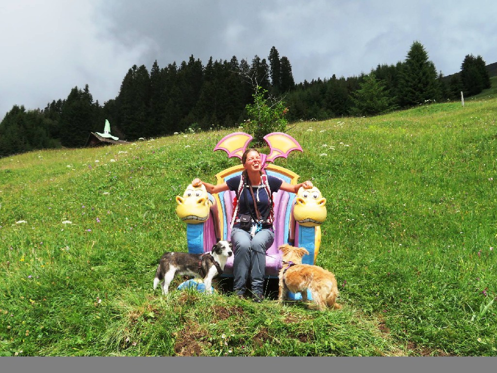 ein bewachtes Insekt