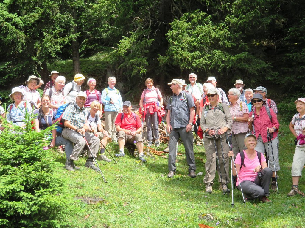 Hexengruppe im Sonnenschein