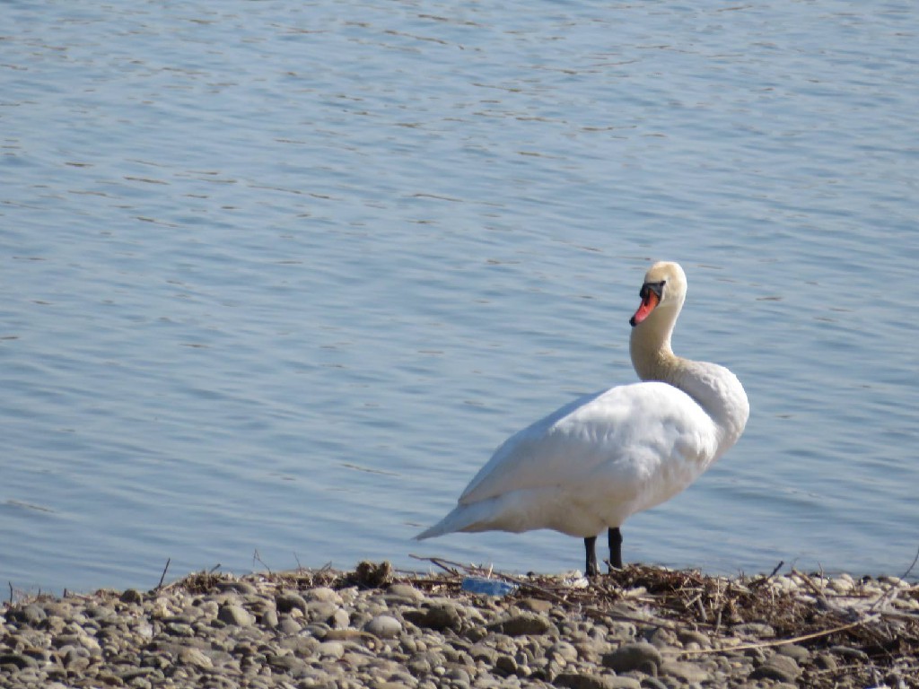 "bin bei der Körperpflege!"