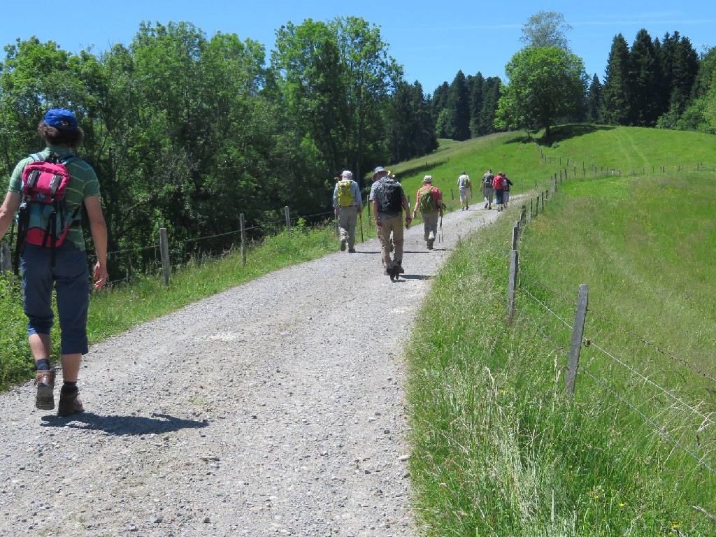 bei  Schnellers im Sonnenschein