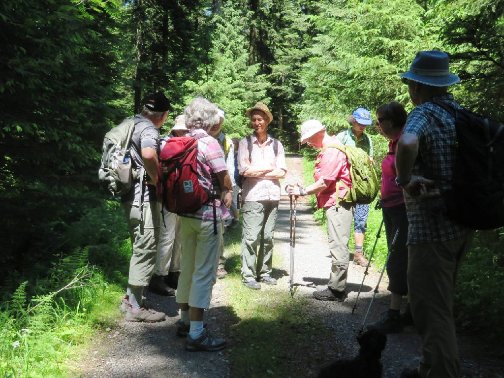 Pause im Wald