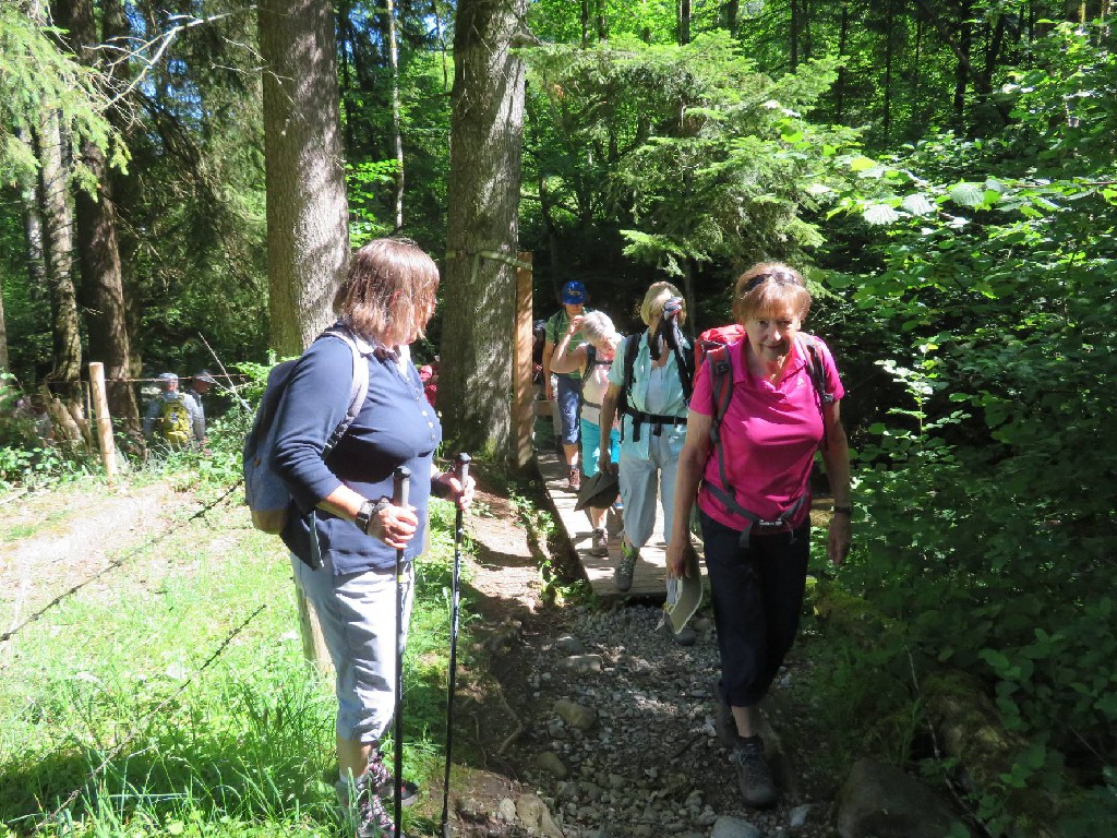 15 Wanderfreunde wandern