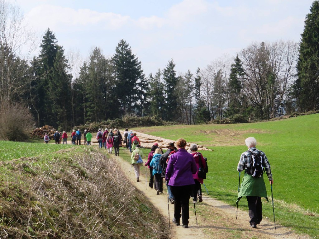 Richtung Wald