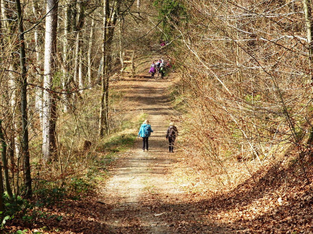 zur Burganlage Ramsberg