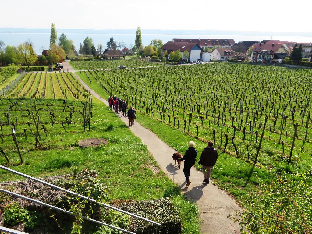 Herzlichen Dank Christa, die Blüten-Wanderung war wunderschön