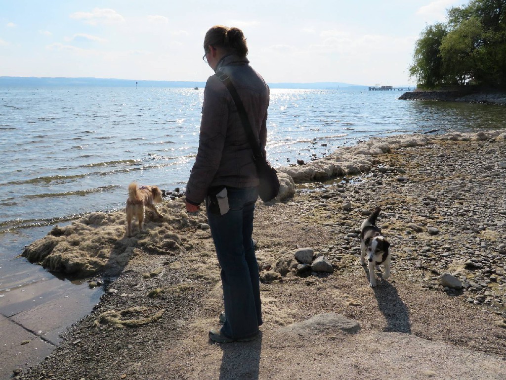 dem See entlang zurück