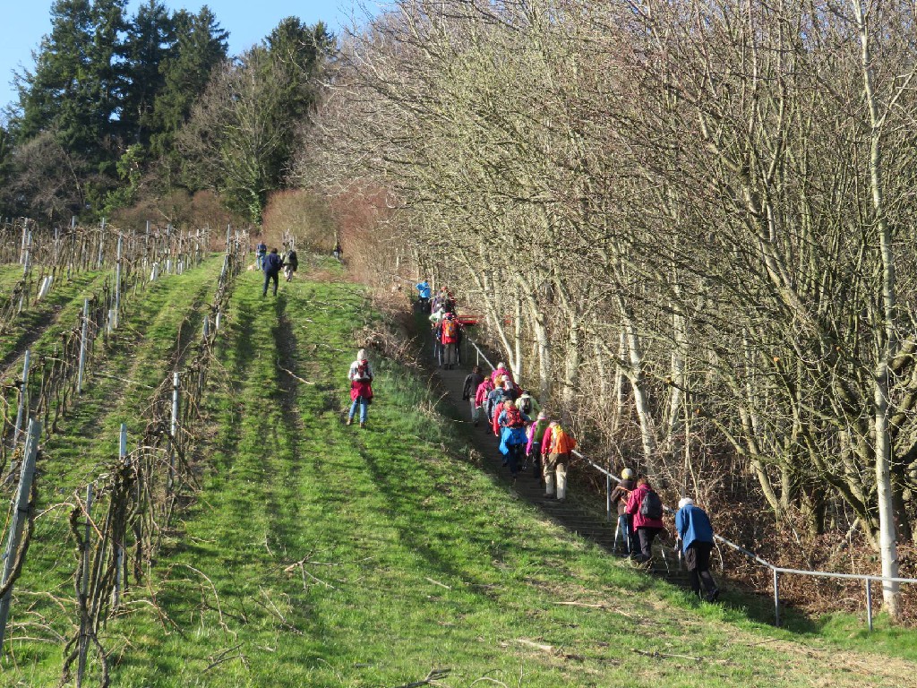 nochmals bergauf zum Aussichtspunkt