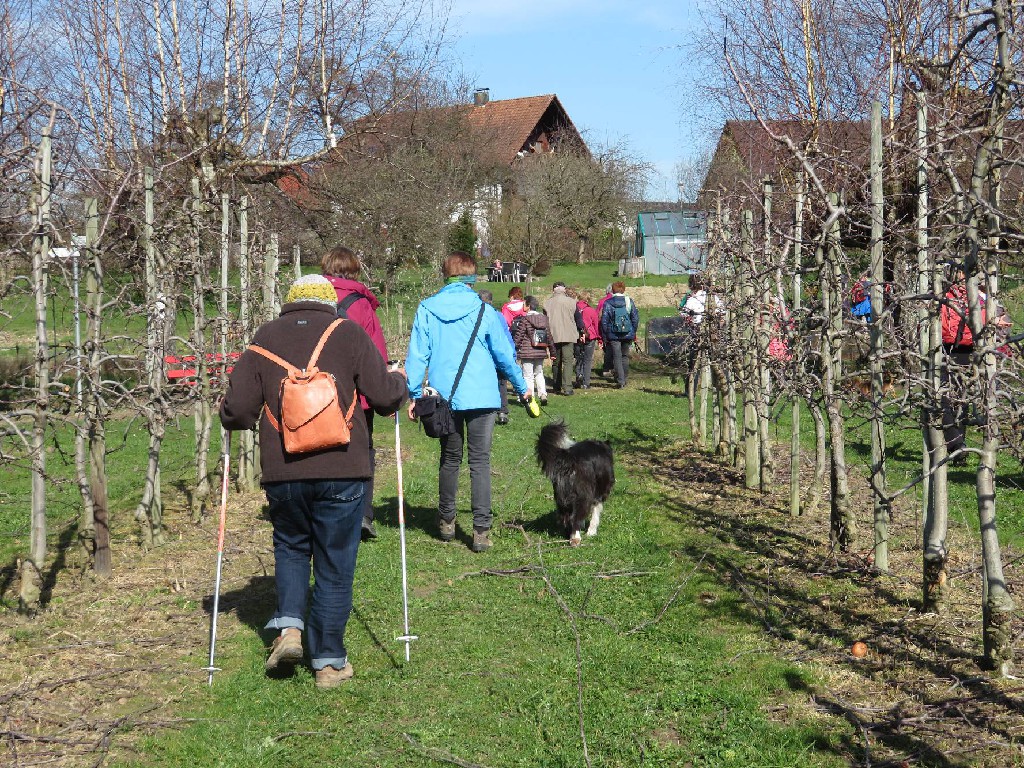 durch eine Obstanlage