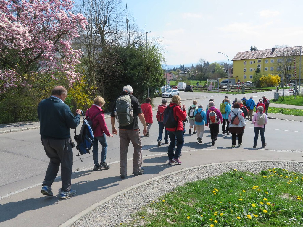 30 Wanderfreunde wandern Richtung See