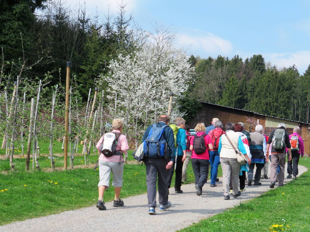 Richtung Bruggach